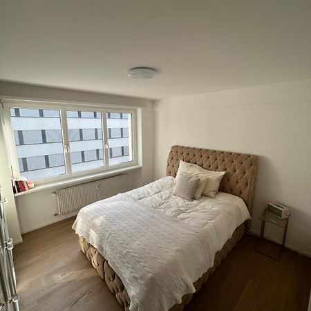 Best Located & Fully Equipped Apartment At Basel Sbb Main Station Exteriör bild