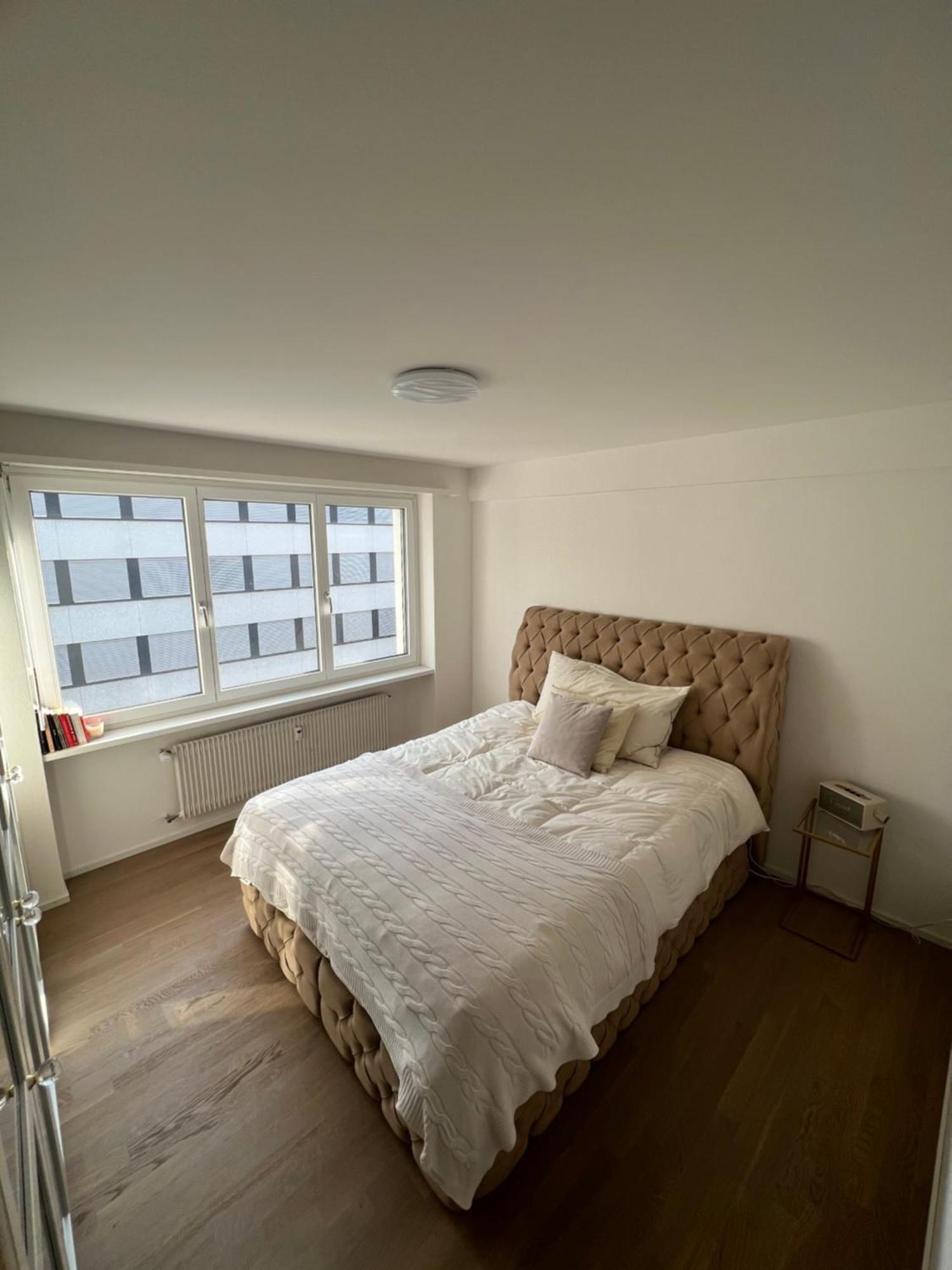 Best Located & Fully Equipped Apartment At Basel Sbb Main Station Exteriör bild